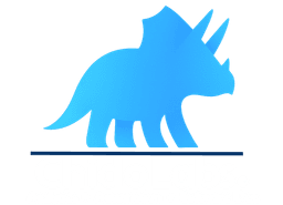 Chido Labs Logo