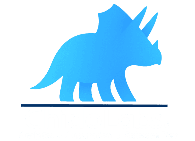 Chido Labs Logo